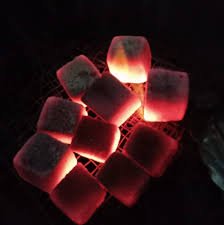 Is the Coconut Charcoal Briquettes Business Worth it?