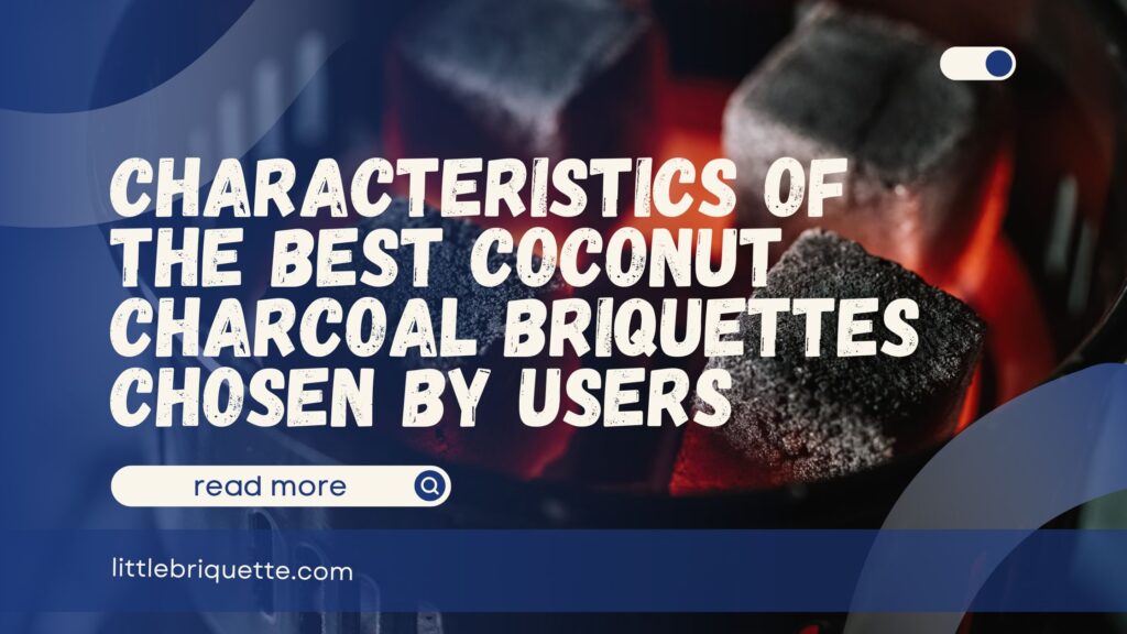 Best Coconut Charcoal Briquettes