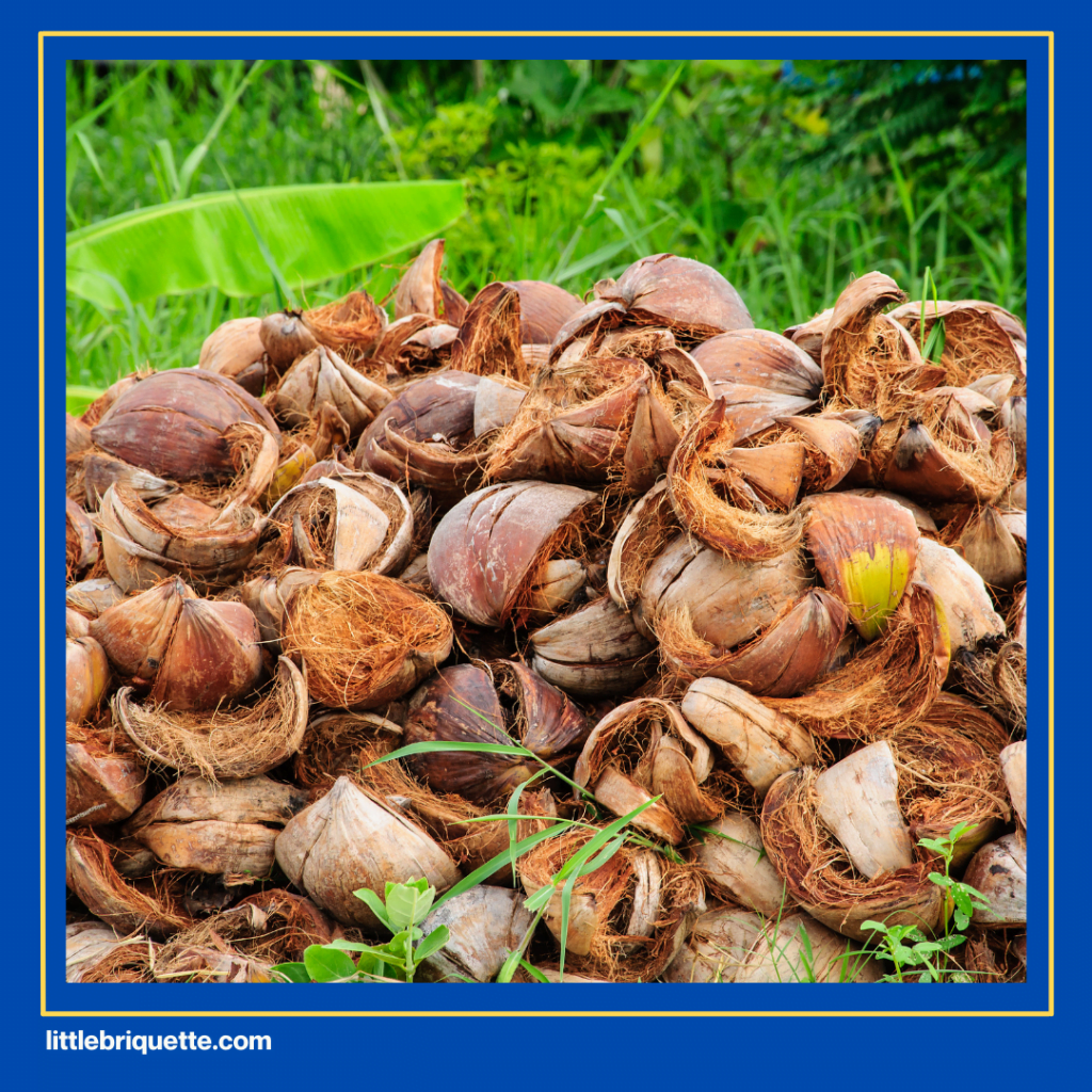 Best Coconut Charcoal Briquettes