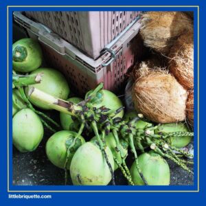 Suppliers of Coconut Charcoal Briquette