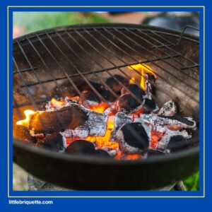 coconut charcoal briquette