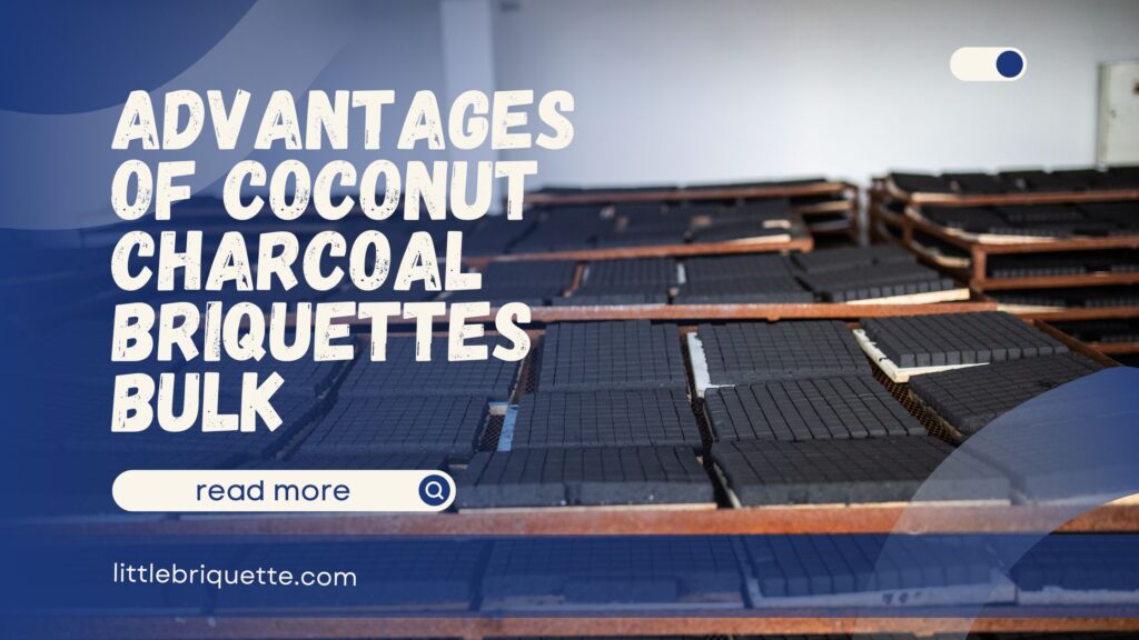 Coconut Charcoal Briquettes Bulk