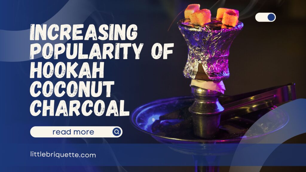 Hookah Coconut Charcoal