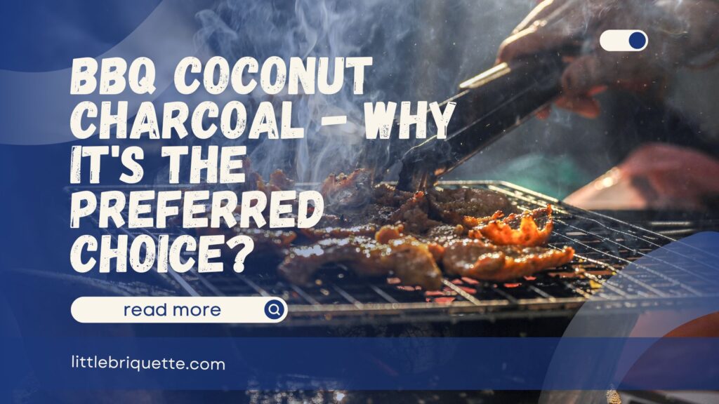 BBQ Coconut Charcoal