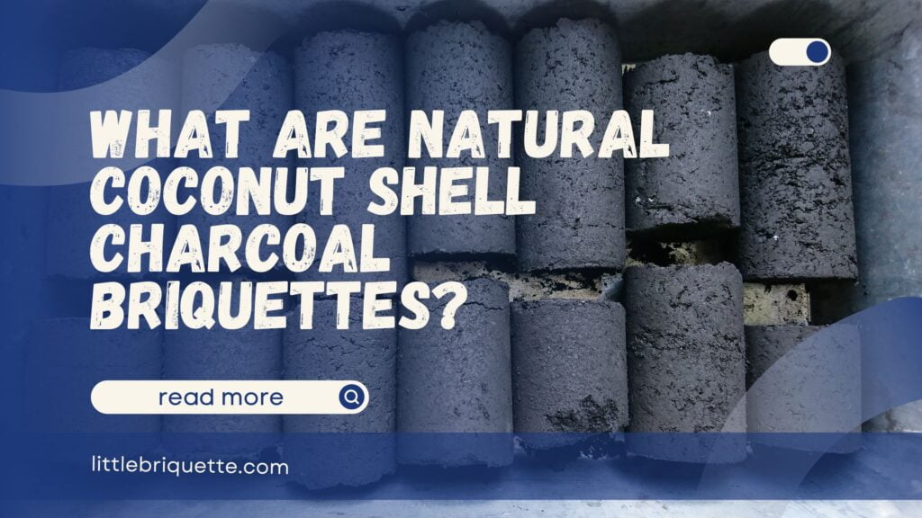 Natural Coconut Charcoal Briquettes
