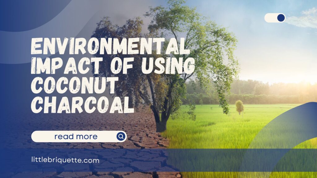 Environmental Impact of Using Coconut Charcoal