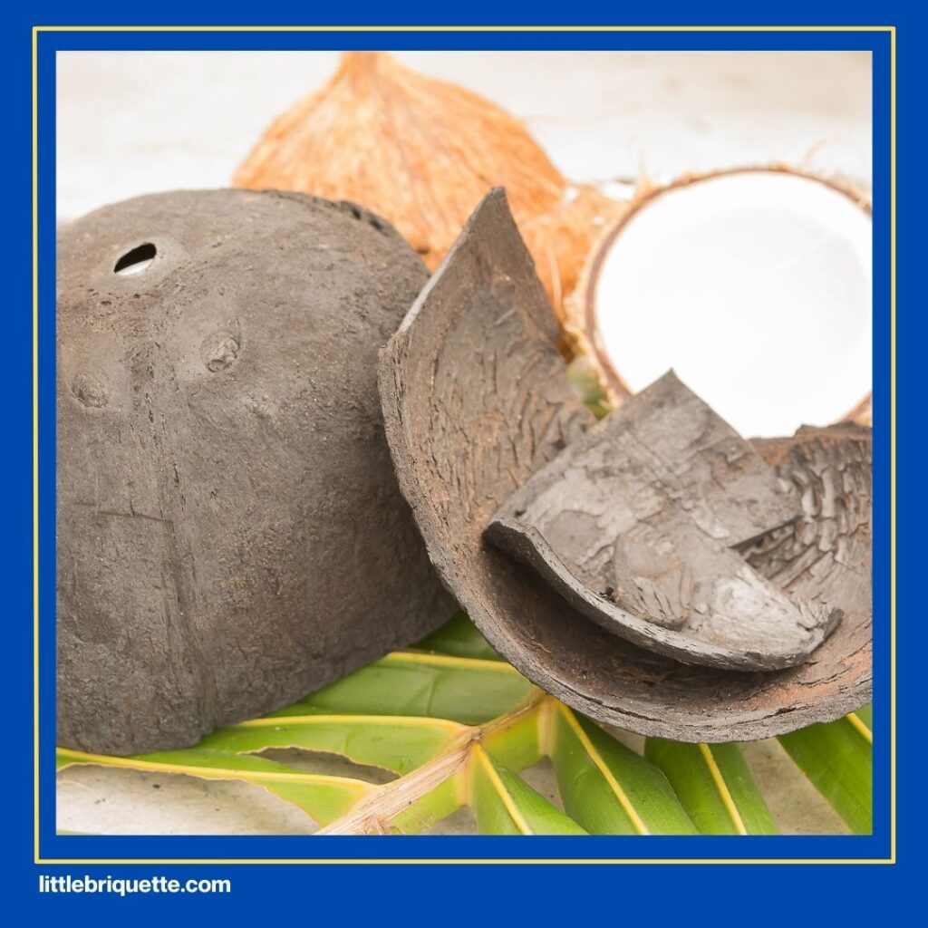 Natural Coconut Charcoal Briquettes