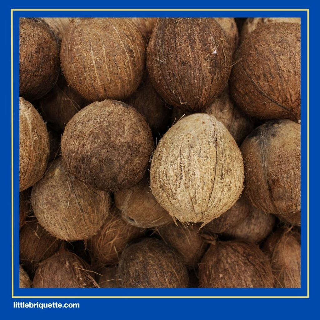 coconut shell charcoal prices