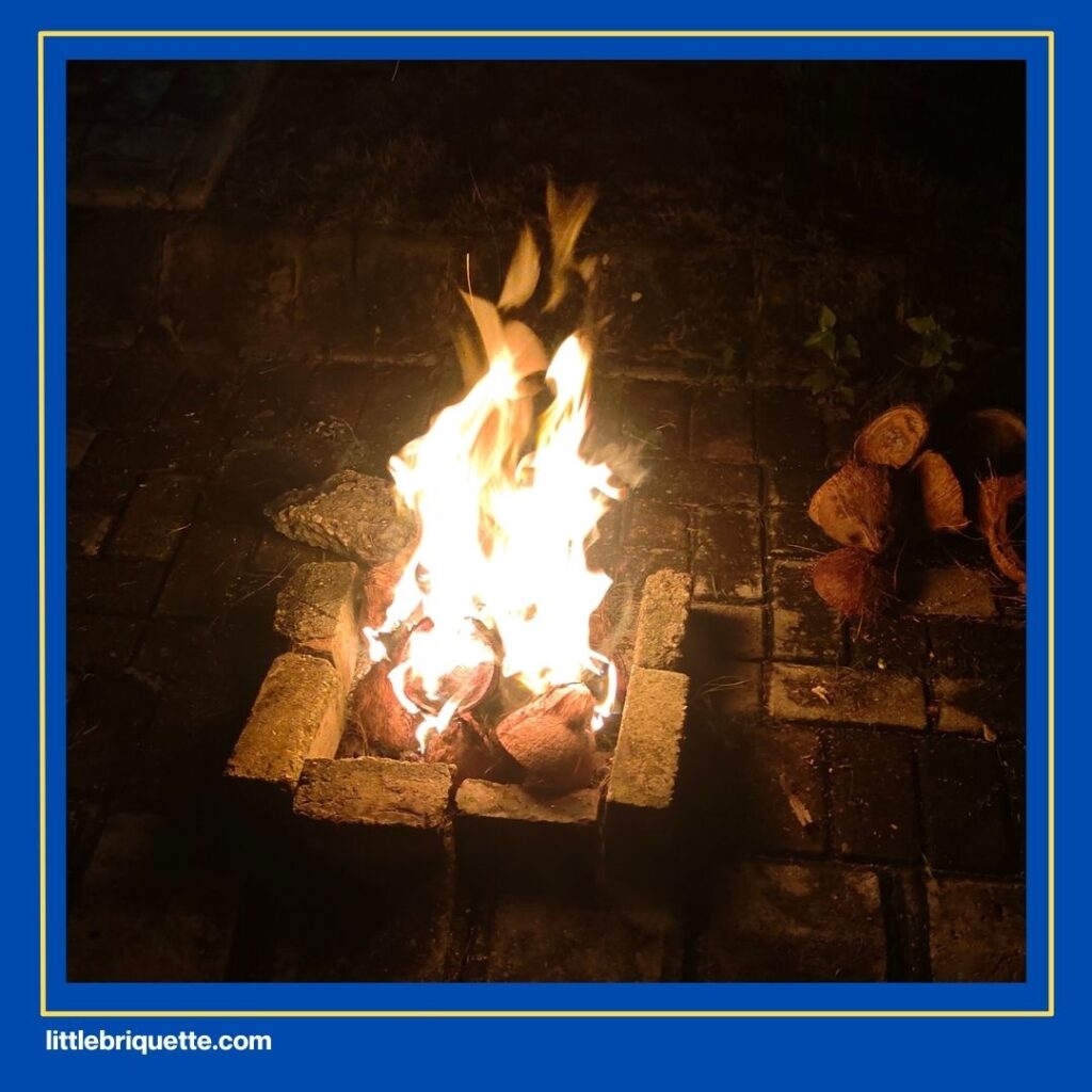 High-Quality Coconut Charcoal