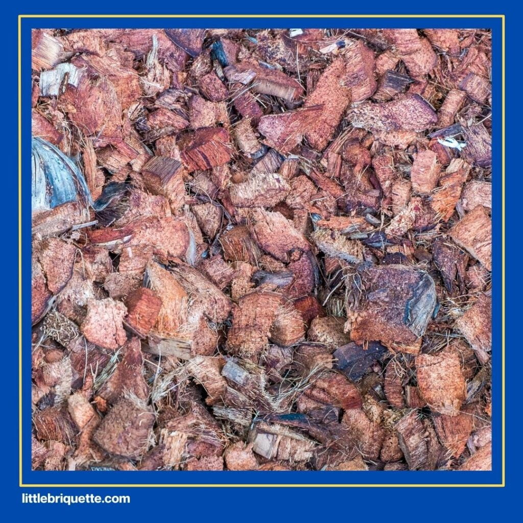 coconut shell charcoal