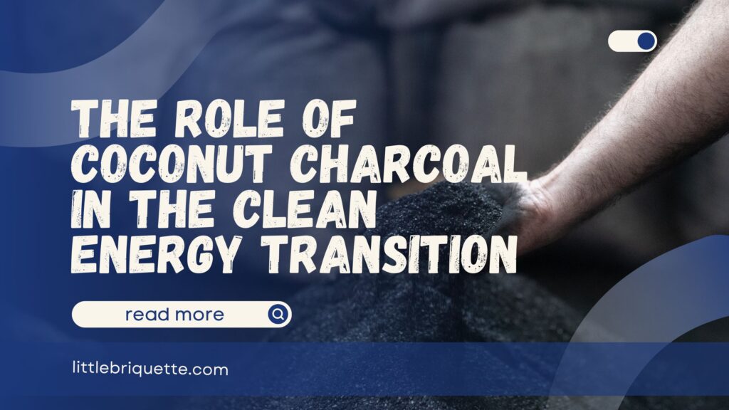 The Role of Coconut Charcoal