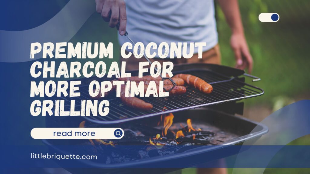 Premium Coconut Charcoal