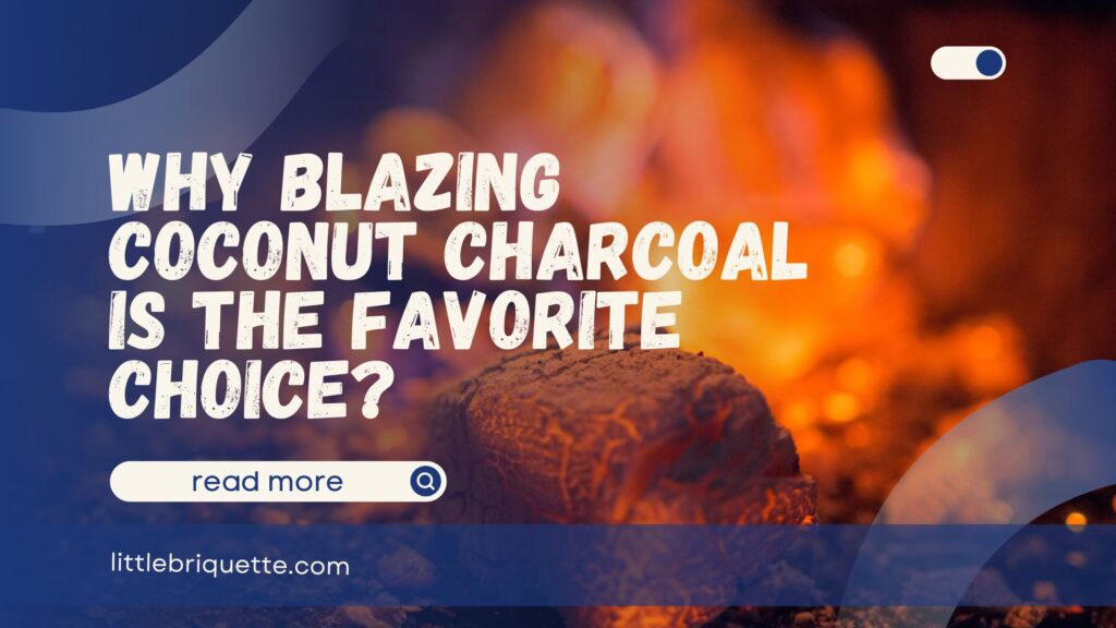 Blazing Coconut Charcoal