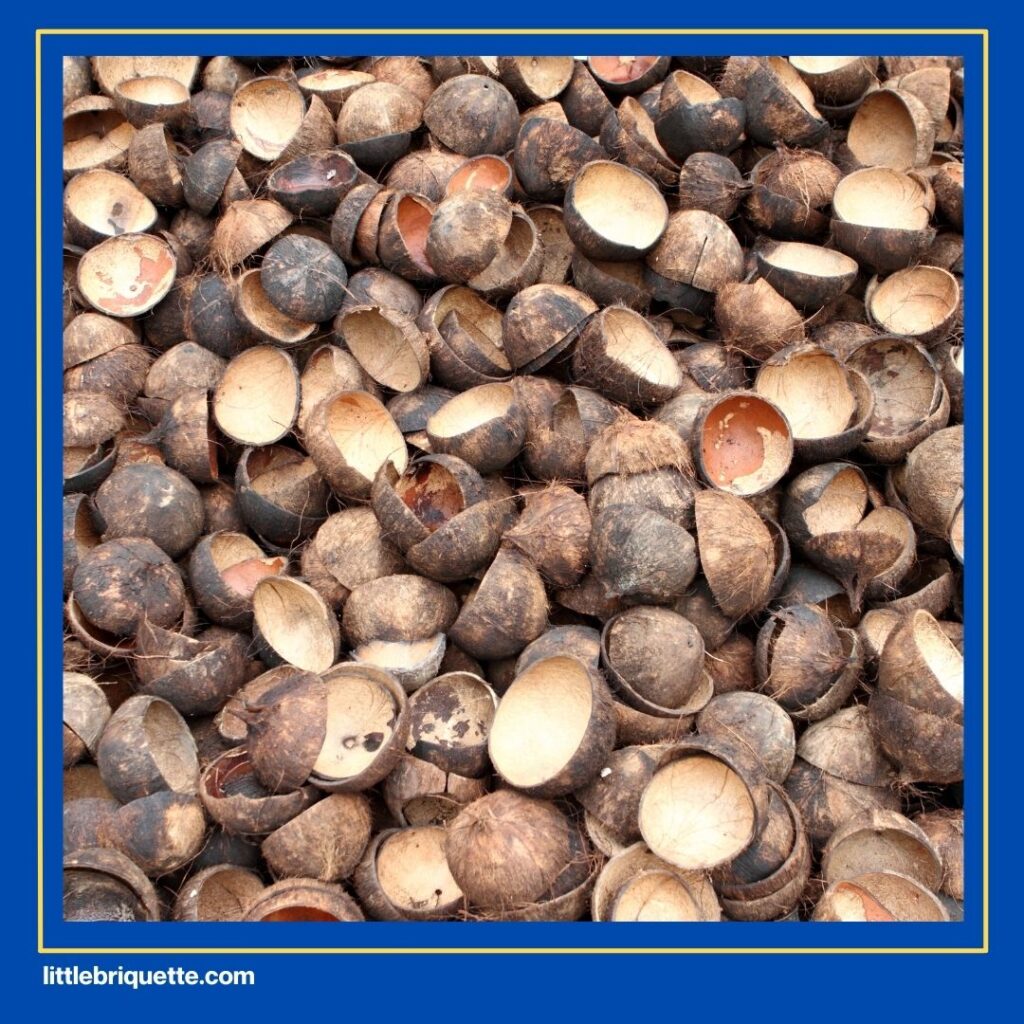 Utilizing Coconut Shell Waste