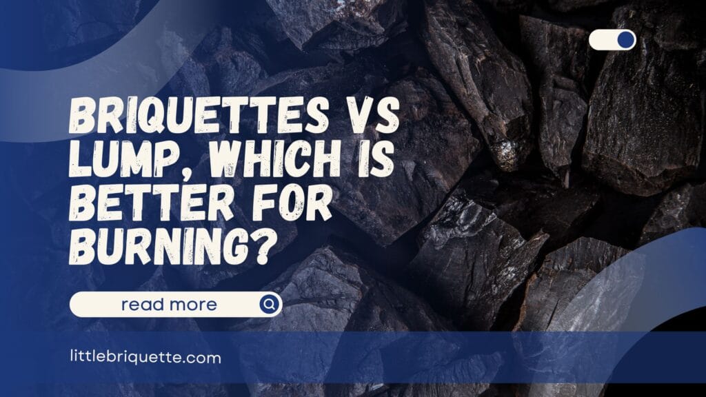 Briquettes vs Lump