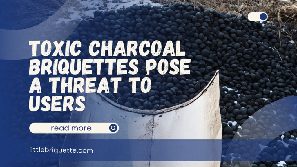 Toxic Charcoal Briquettes