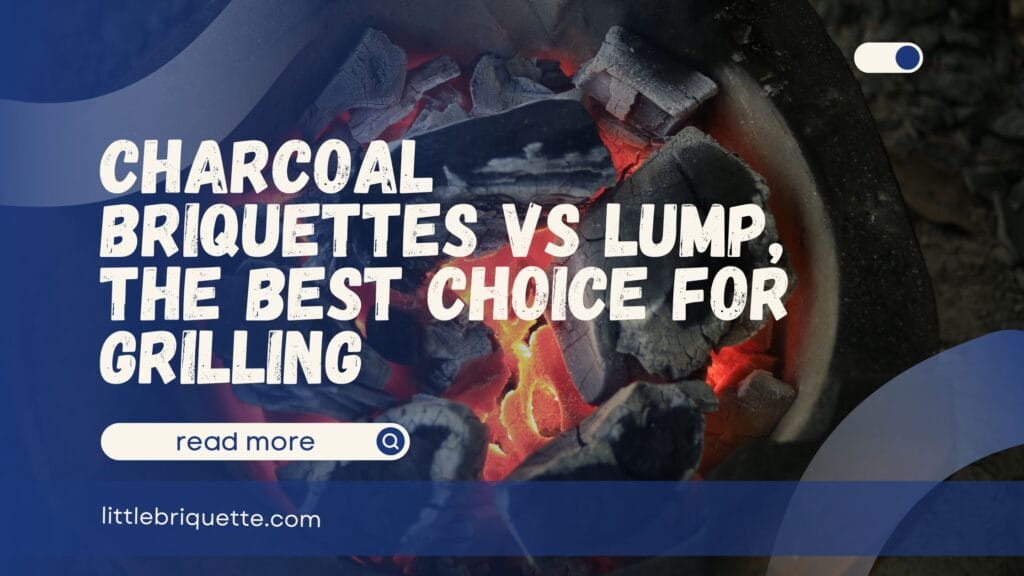 Charcoal Briquettes vs Lump