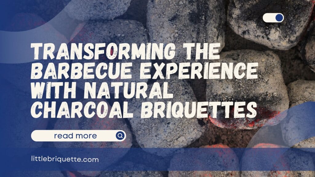 Natural Charcoal Briquettes