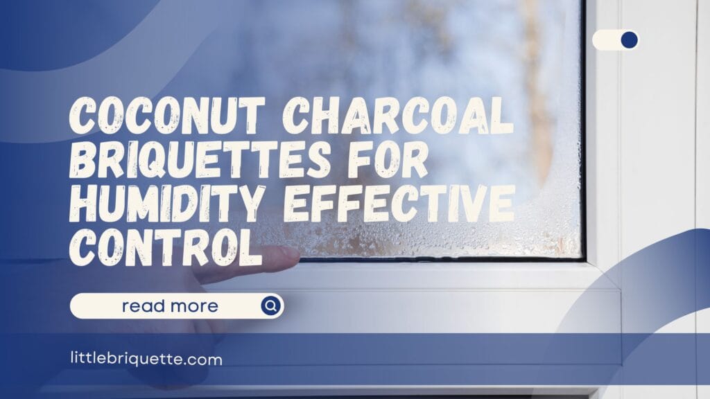 Charcoal Briquettes for Humidity