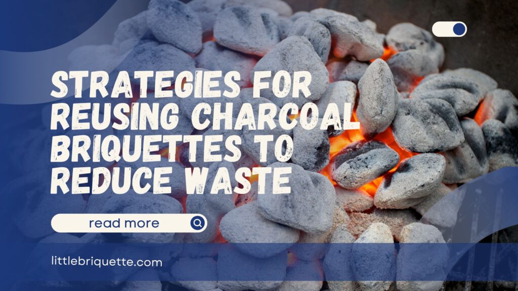 Reusing Charcoal Briquettes