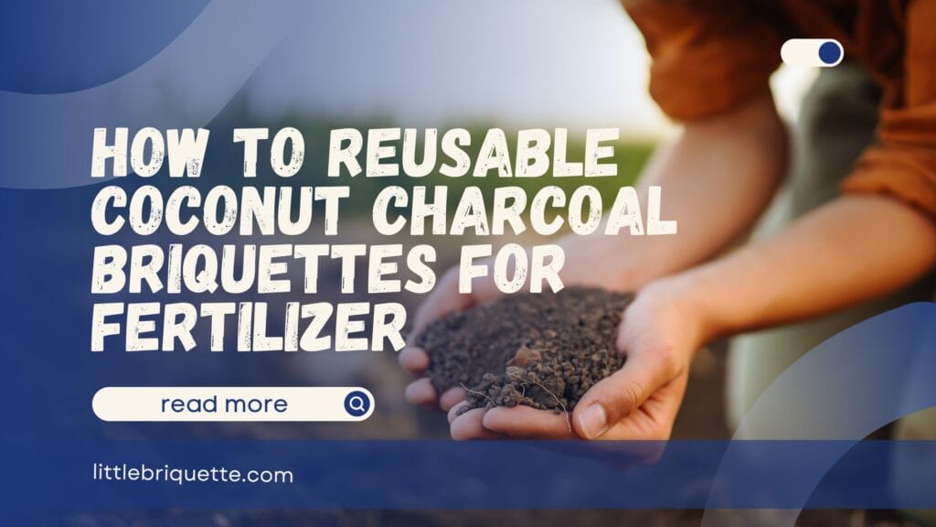 Reusable Coconut Charcoal Briquettes