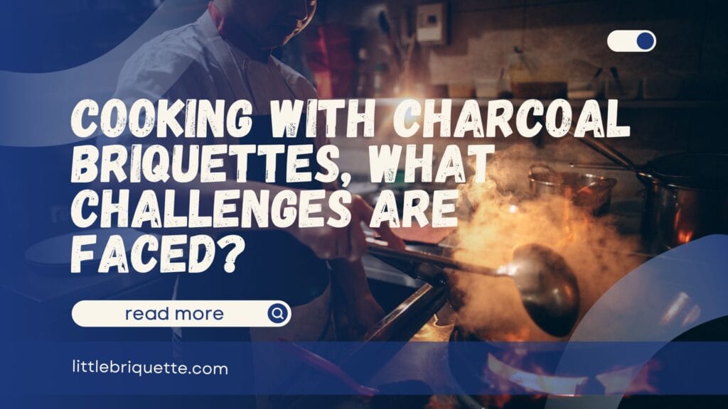 Cooking with Charcoal Briquettes