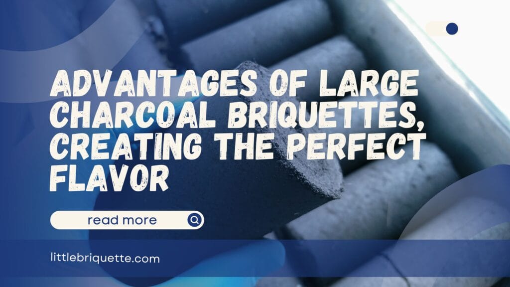 Large Charcoal Briquettes