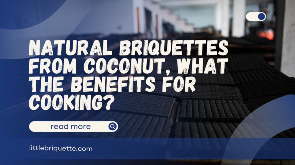 Natural Briquettes from Coconut