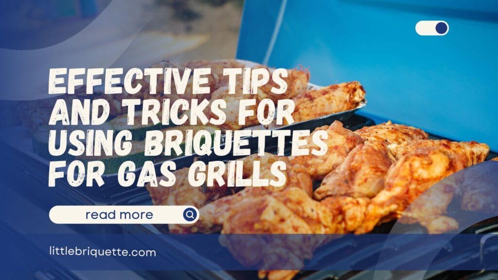 Briquettes for Gas Grill