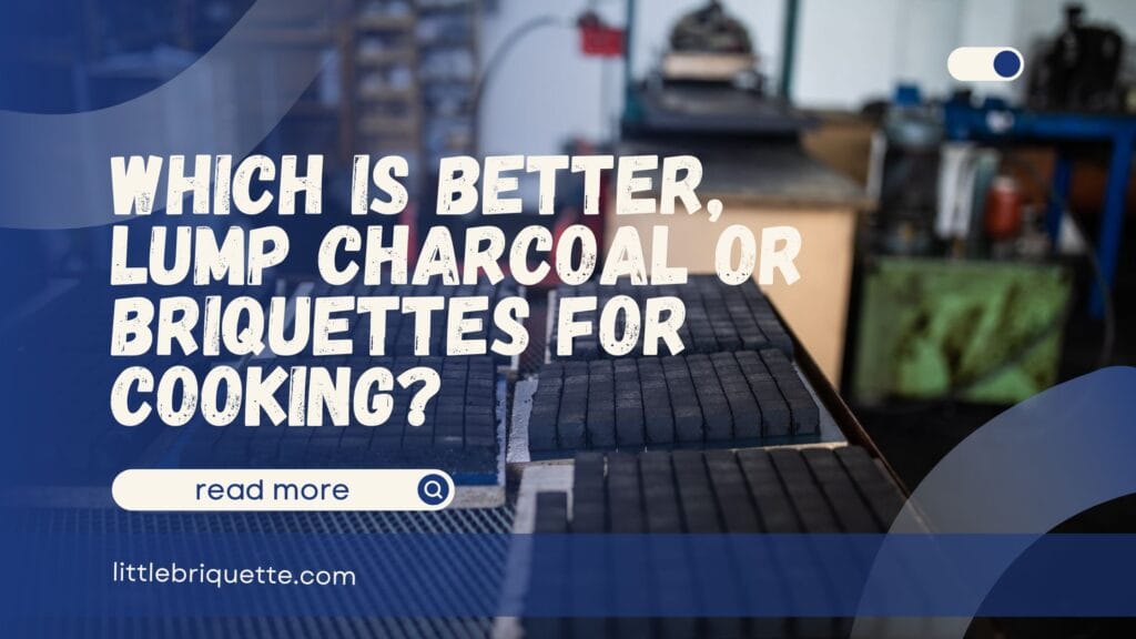 Which is Better, Lump Charcoal or Briquettes