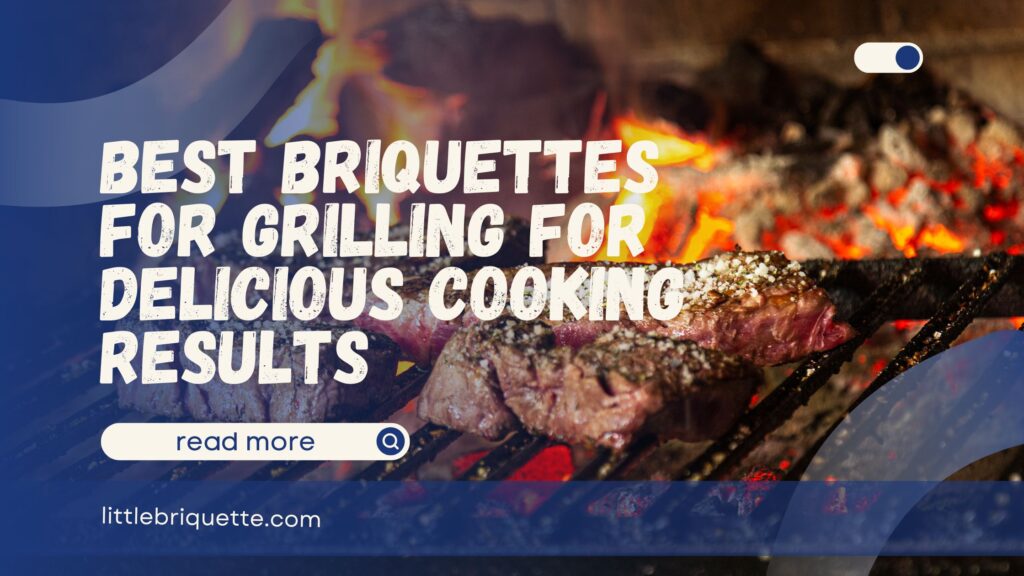 Best Briquettes for Grilling