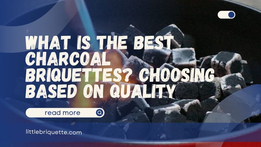 What is the Best Charcoal Briquettes