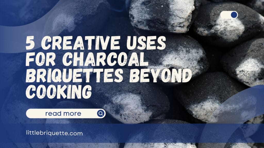 Uses for Charcoal Briquettes