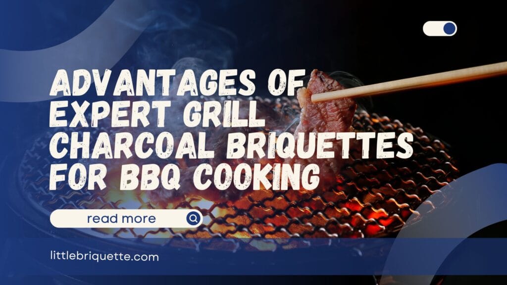 Expert Grill Charcoal Briquettes