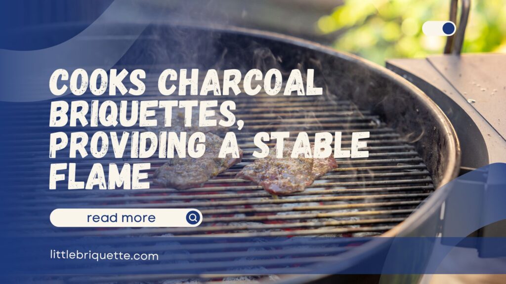 Cooks Charcoal Briquettes