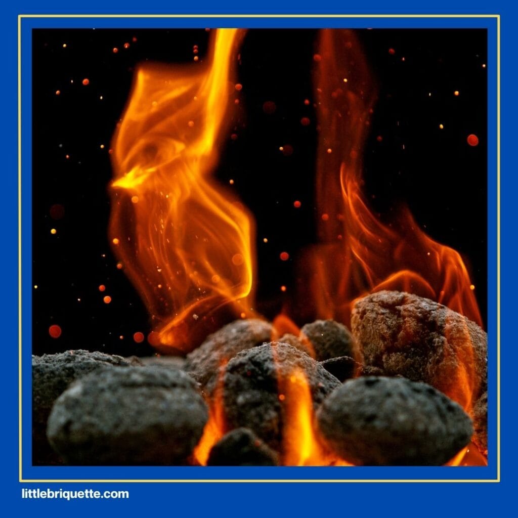 Smoker Briquettes
