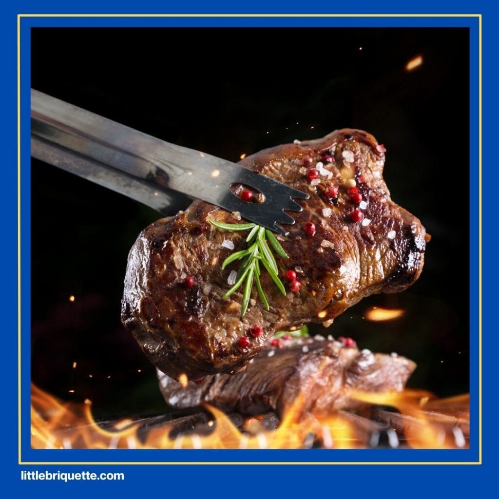 Smoker Briquettes