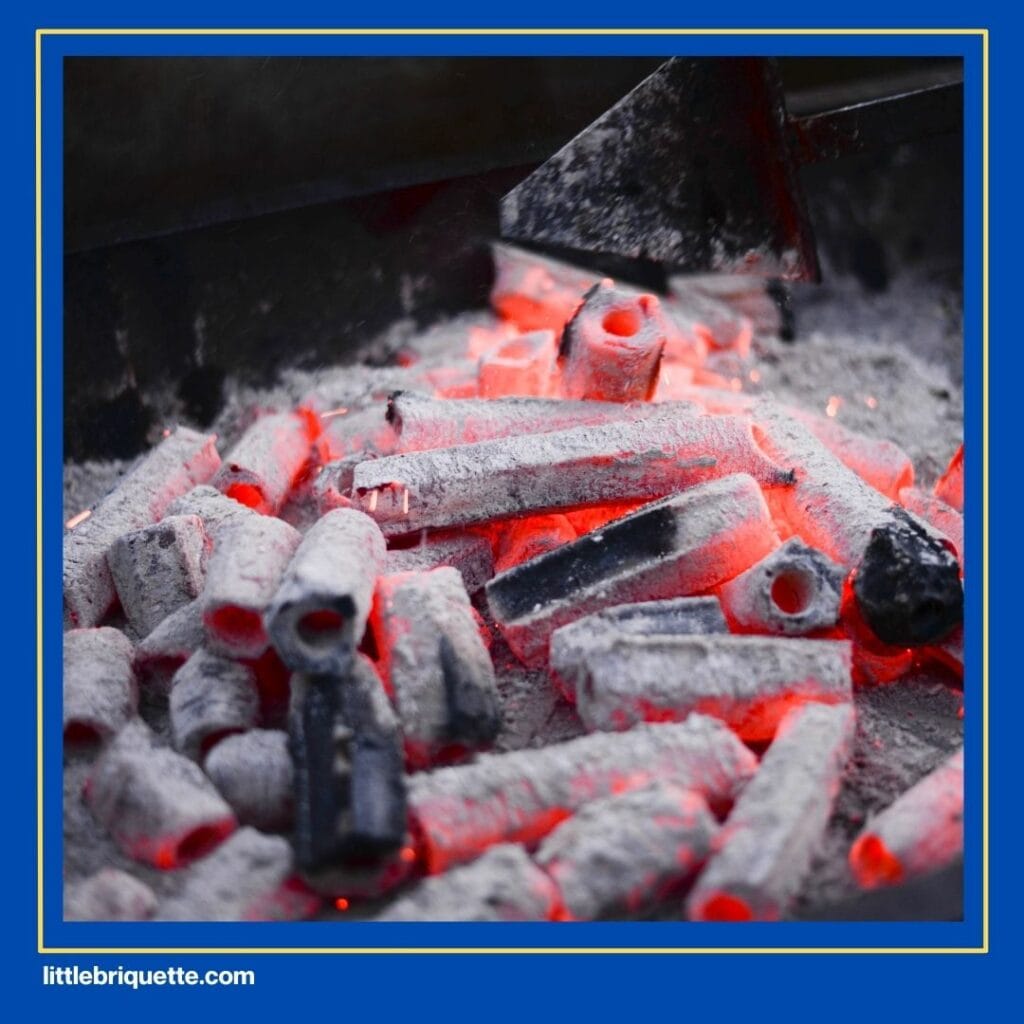 Smoker Briquettes