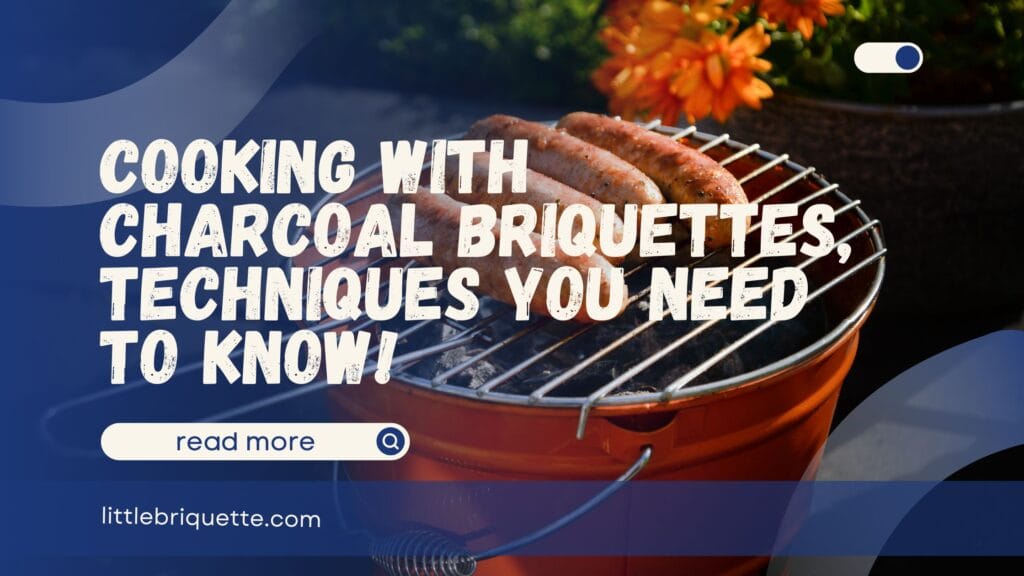 Cooking with Charcoal Briquettes
