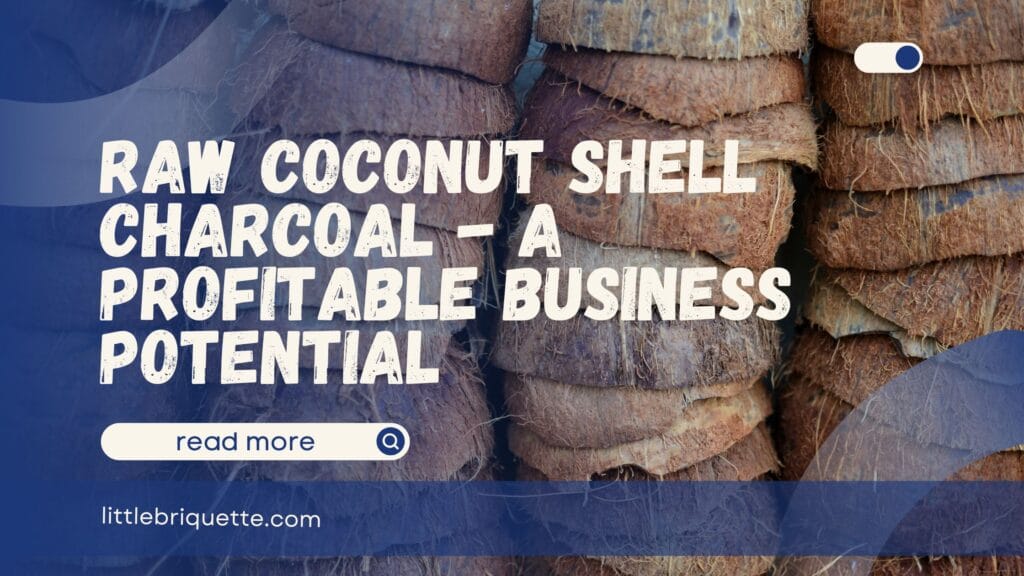 Raw Coconut Shell Charcoal