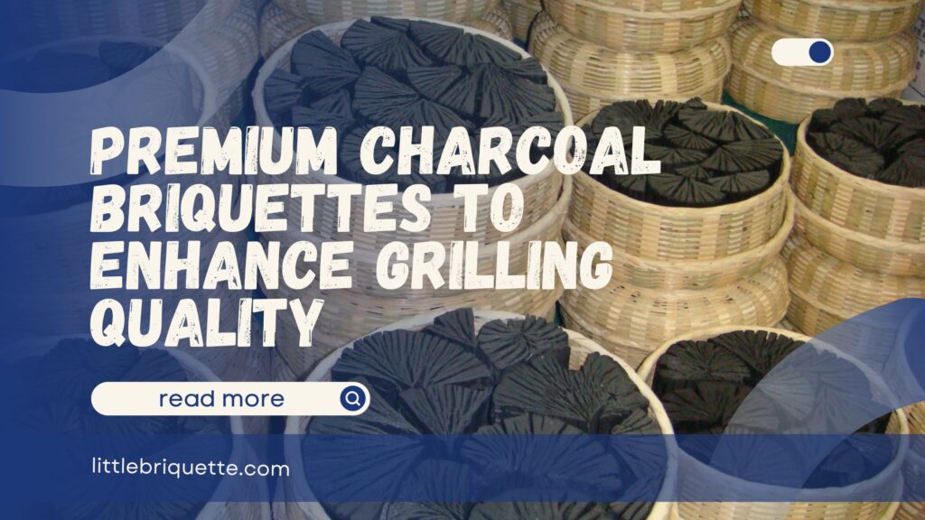 Premium Charcoal Briquettes