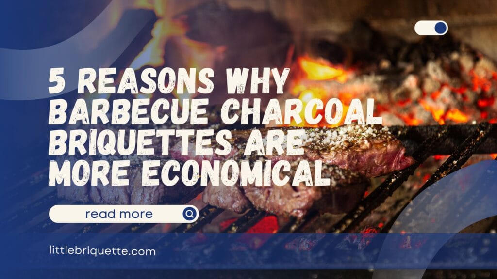 Barbecue Charcoal Briquettes