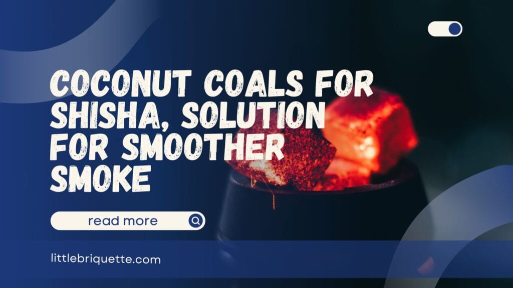 Coconut Coals for Shisha