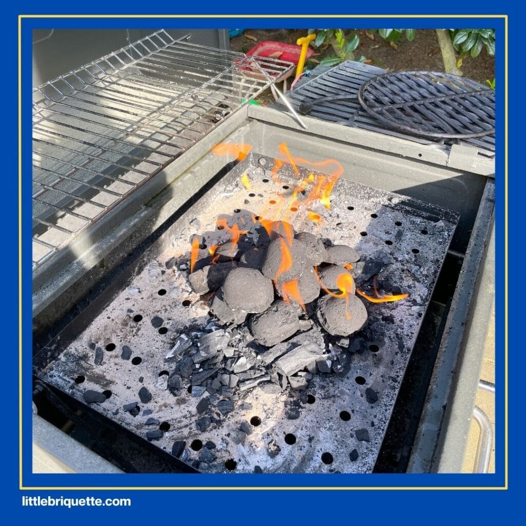 Boxed Briquettes