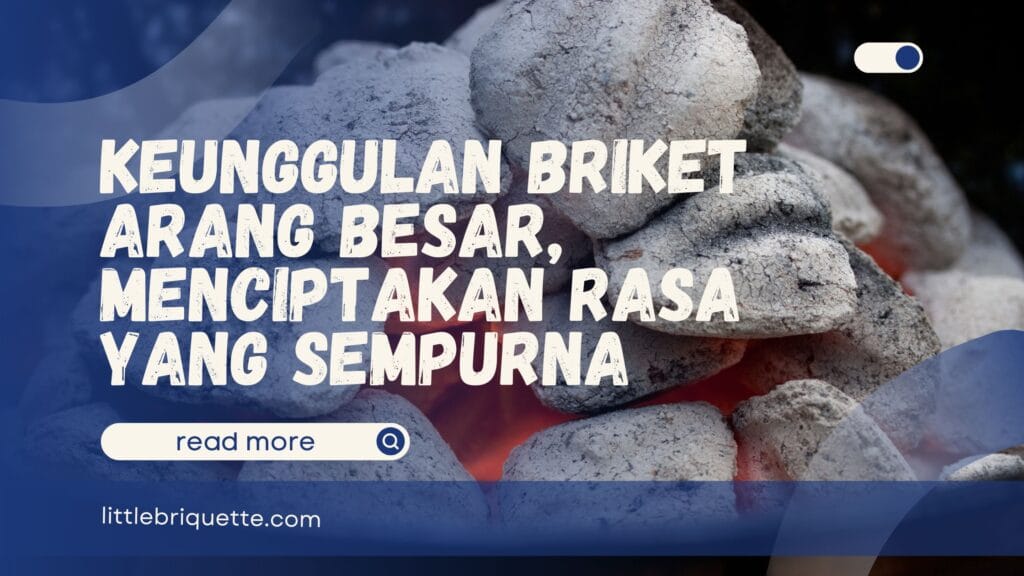 Briket Arang Besar