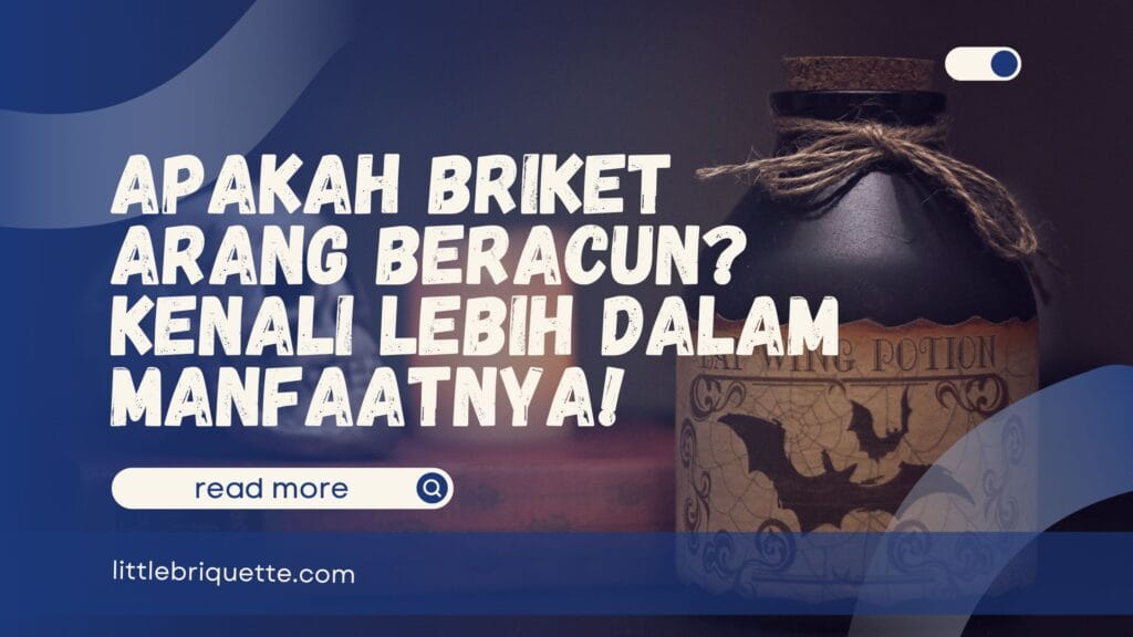 Apakah Briket Arang Beracun